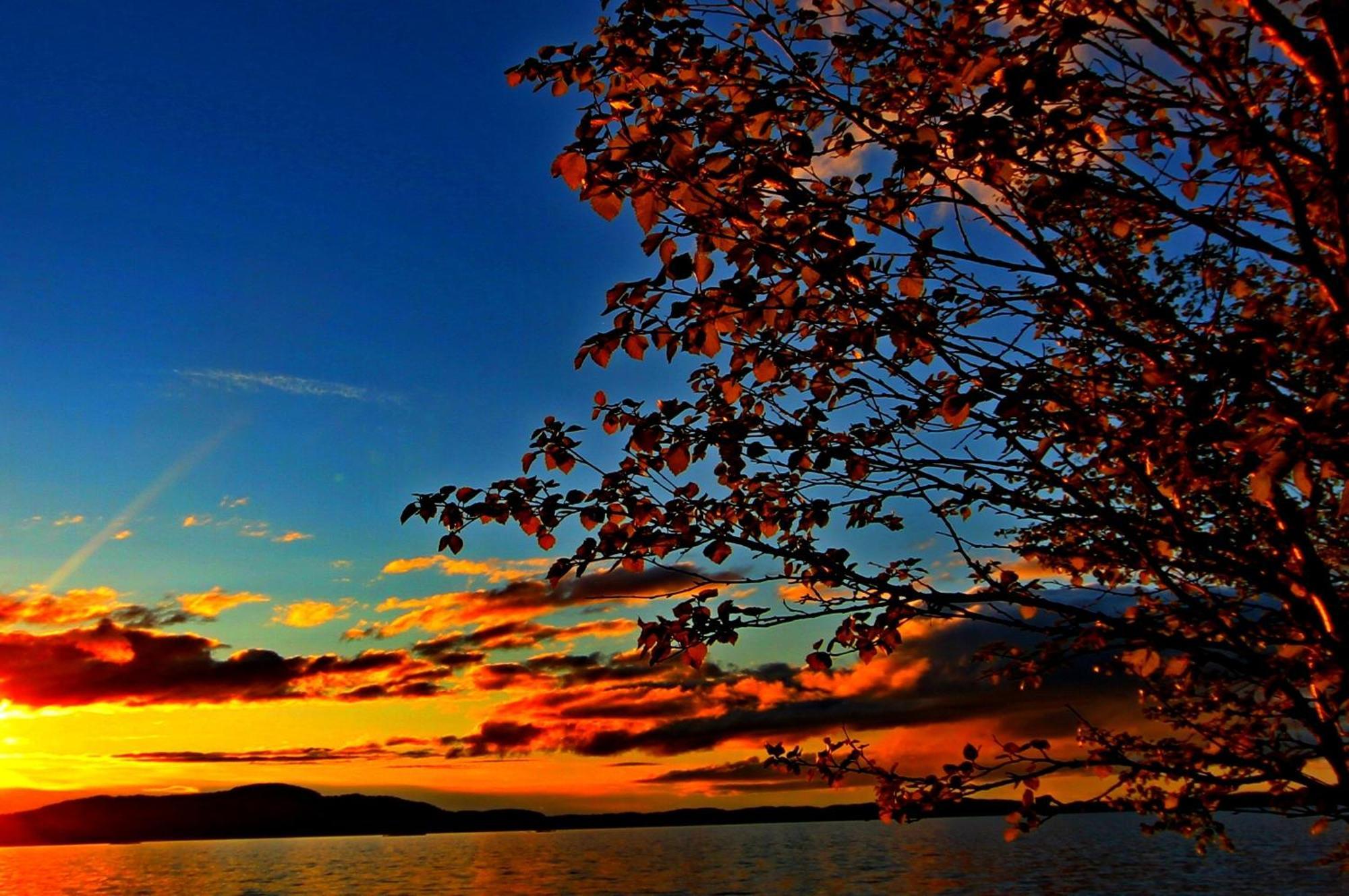 Ukonjärven Holiday Village Ivalo Rum bild