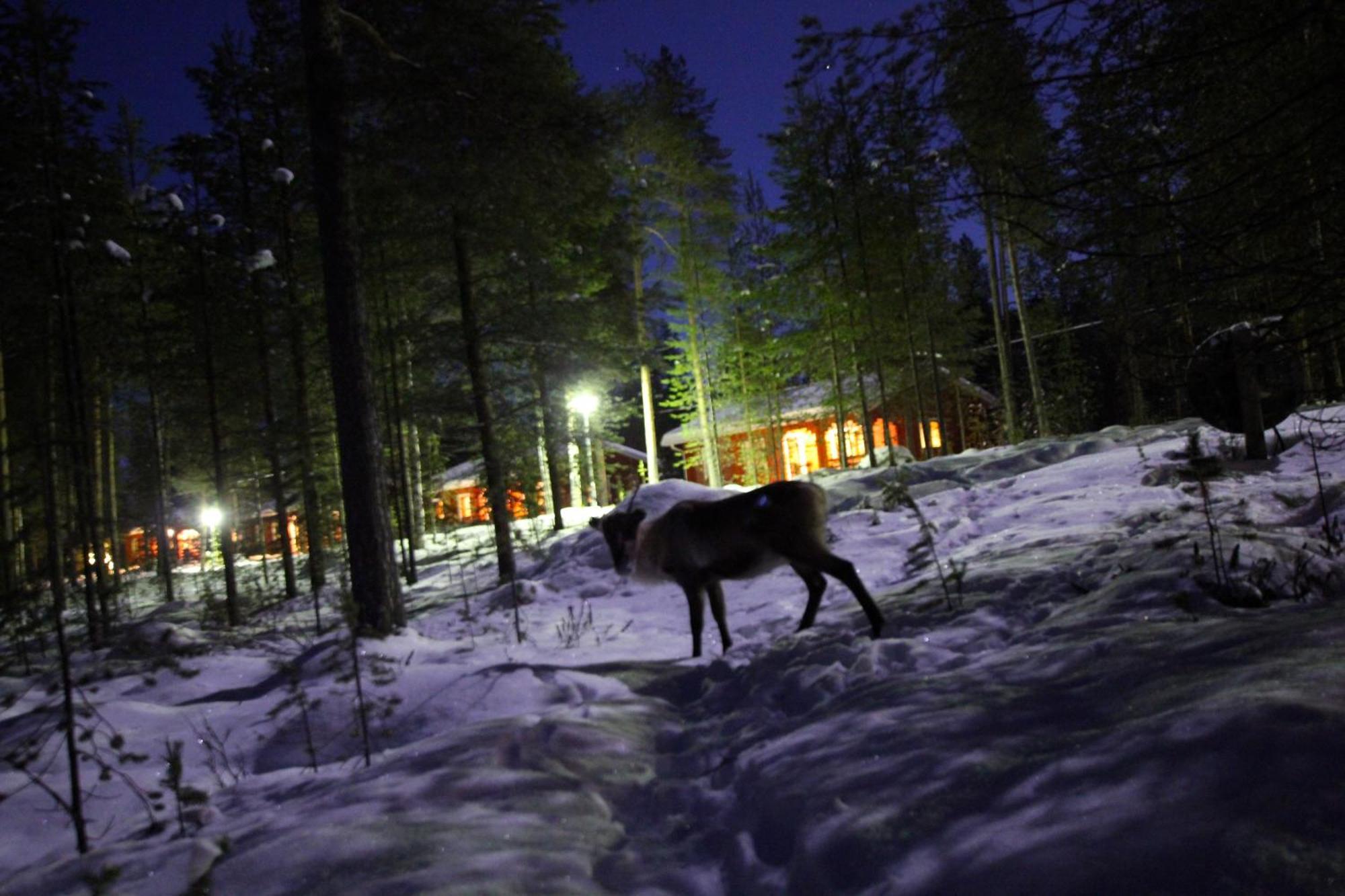 Ukonjärven Holiday Village Ivalo Exteriör bild