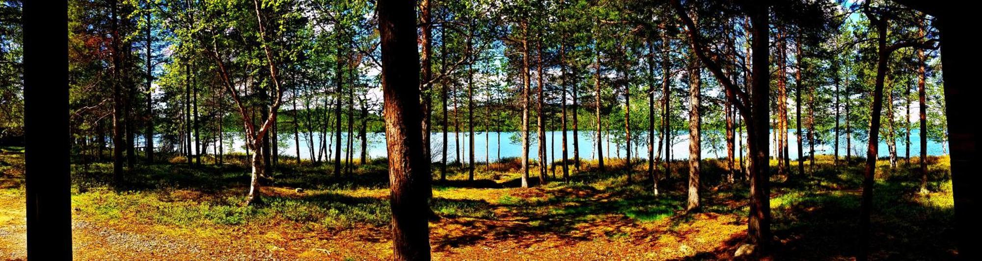 Ukonjärven Holiday Village Ivalo Rum bild