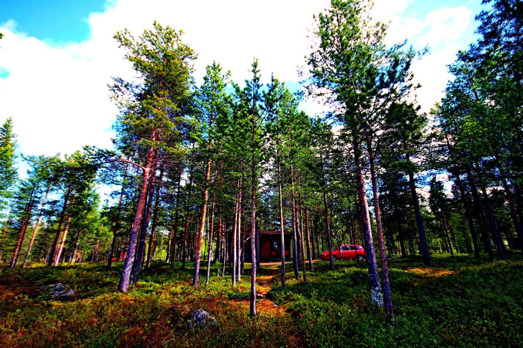 Ukonjärven Holiday Village Ivalo Rum bild
