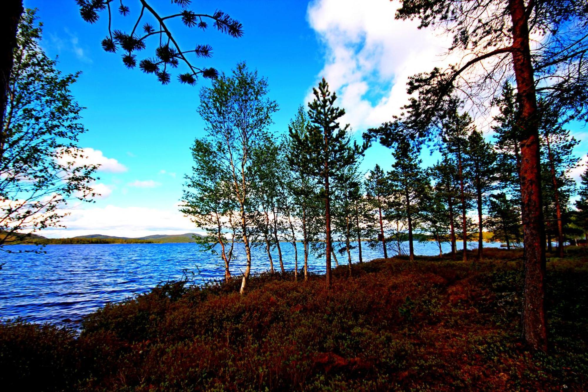 Ukonjärven Holiday Village Ivalo Rum bild