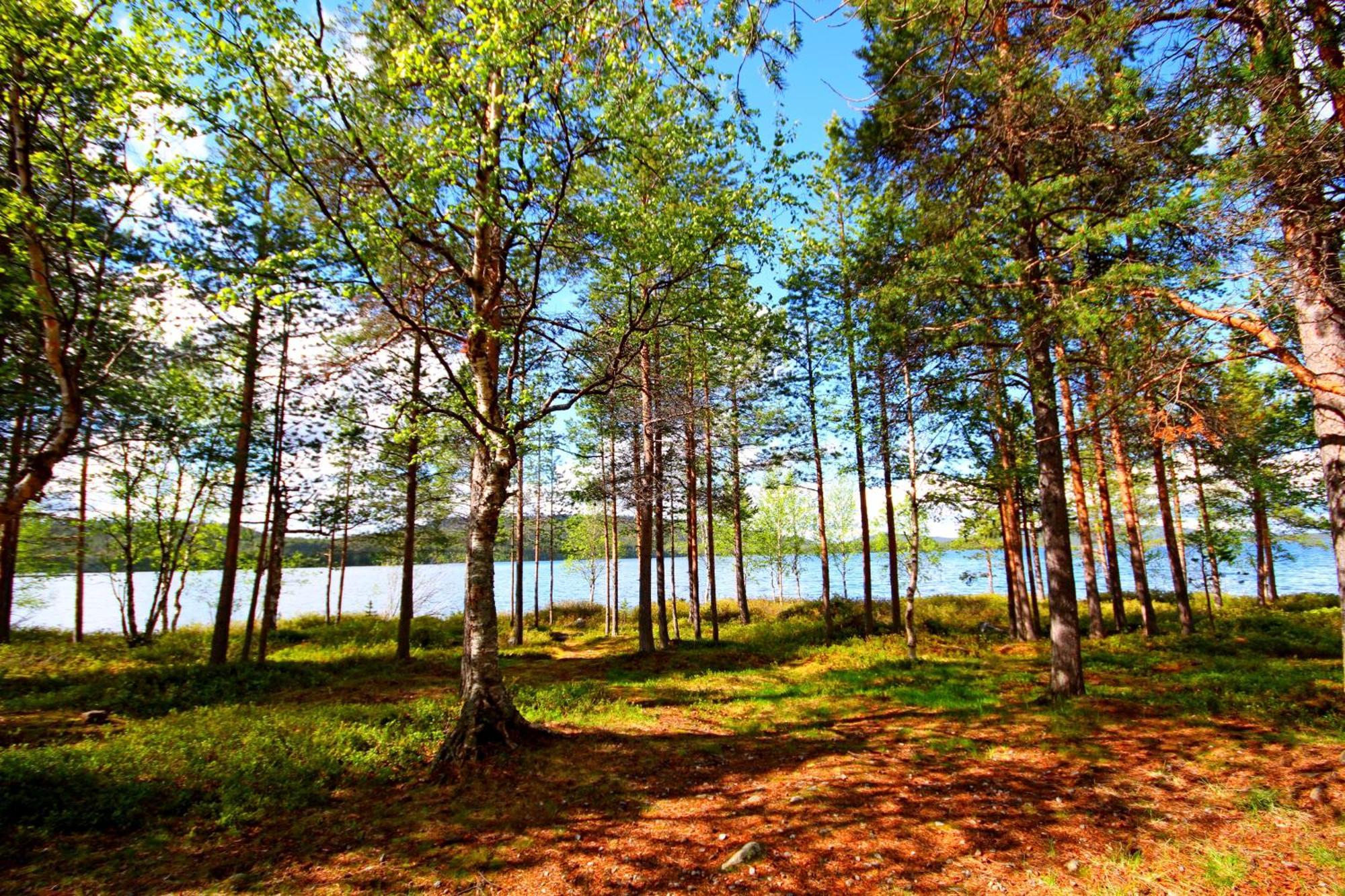 Ukonjärven Holiday Village Ivalo Rum bild